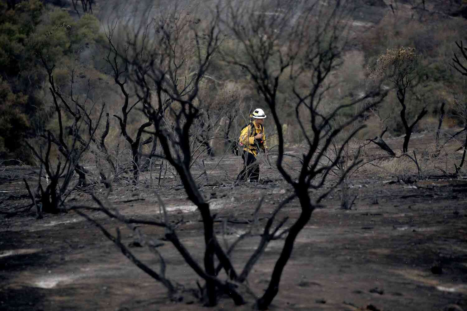 California is facing multiple impacts from climate change and extreme weather, the state’s environmental watchdog says